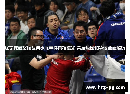 辽宁球迷怒砸裁判水瓶事件真相曝光 背后原因和争议全面解析