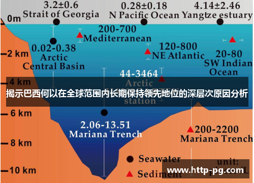 揭示巴西何以在全球范围内长期保持领先地位的深层次原因分析