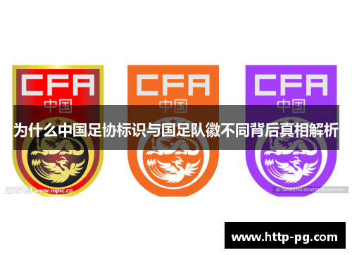 为什么中国足协标识与国足队徽不同背后真相解析
