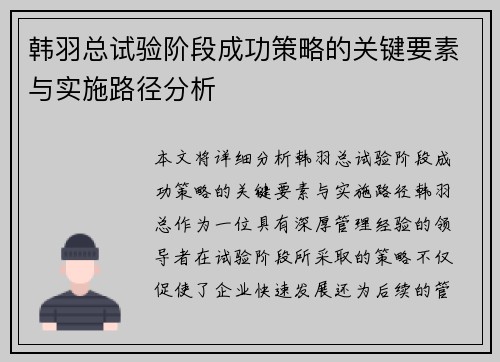 韩羽总试验阶段成功策略的关键要素与实施路径分析