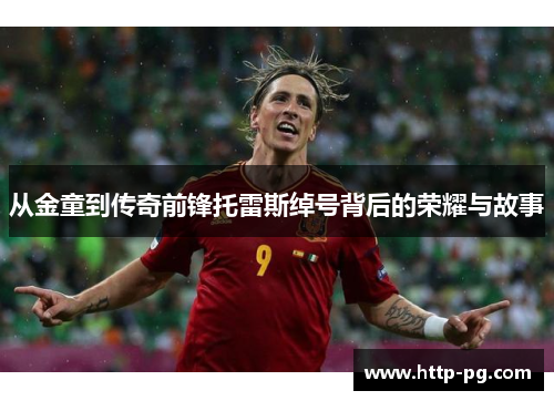 从金童到传奇前锋托雷斯绰号背后的荣耀与故事