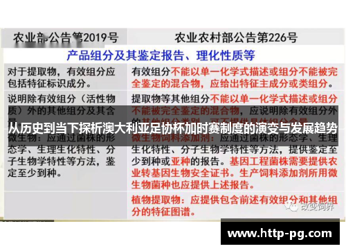 从历史到当下探析澳大利亚足协杯加时赛制度的演变与发展趋势