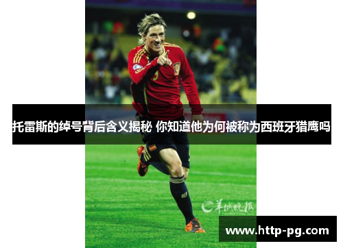 托雷斯的绰号背后含义揭秘 你知道他为何被称为西班牙猎鹰吗