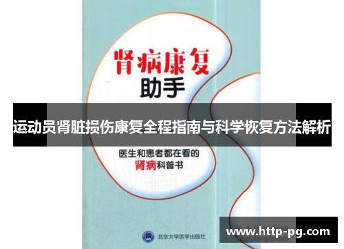 运动员肾脏损伤康复全程指南与科学恢复方法解析